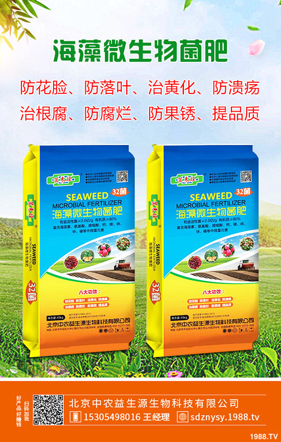     2020�괺��(ji��)����������һ�@�����Ƿ��ϸ�����������һ�@�r���r��1-(291)