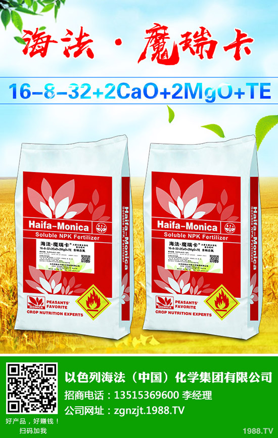     ɽˎ�r��������Xһ����2020ɽˎ�Nֲٍ�Xô���Nֲǰ�����ɱ�������