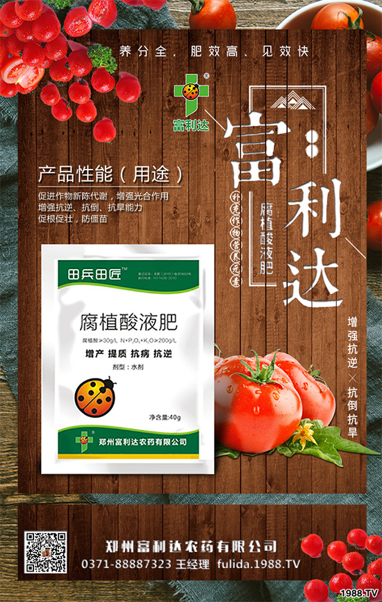 �Nֲʲôˎ����ٍ�X��2020����ˎ�ķNֲǰ������