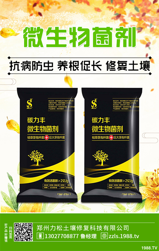 �Nֲʲôˎ����ٍ�X��2020����ˎ�ķNֲǰ������