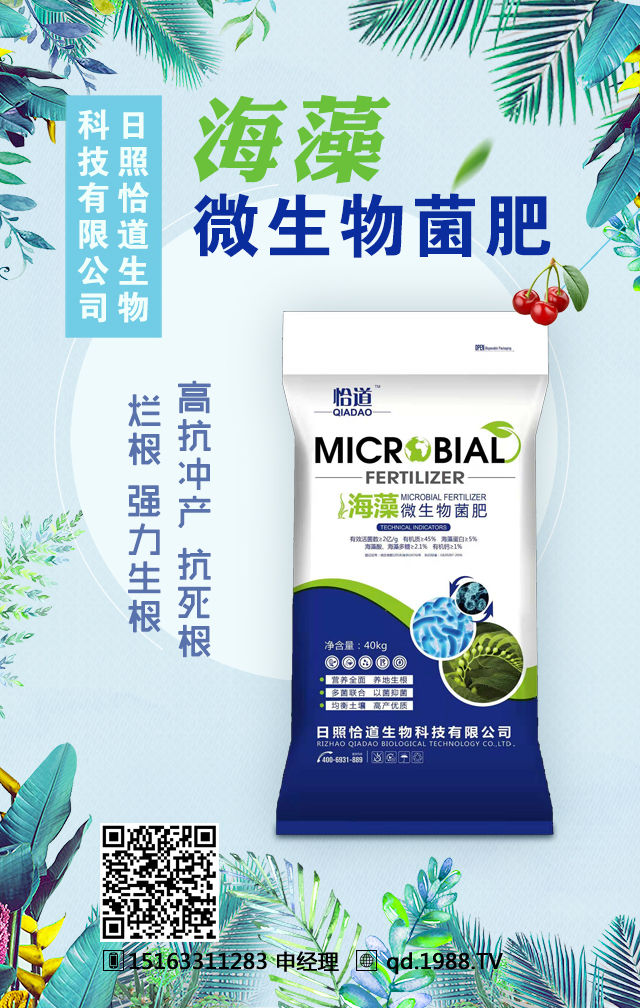 ����ǡ������Ƽ����޹�˾