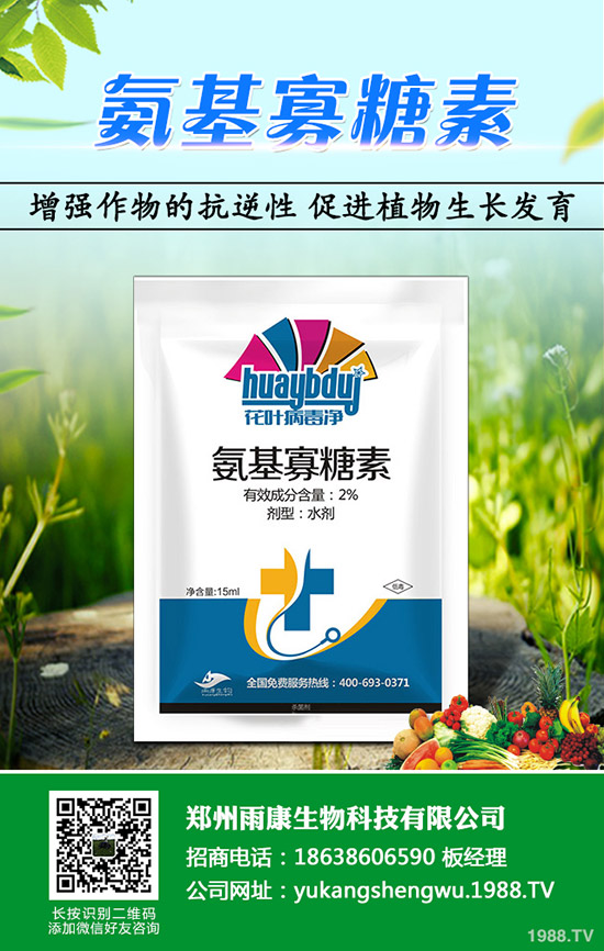 ɳ�ǽ۴ٻ�ԭ����ʲô��ɰ���ٴٻ���ʩ������