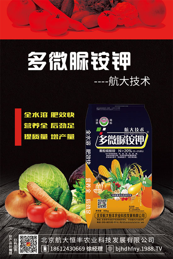 2019��12��31������⛷��Ј�(ch��ng)�r(ji��)������һ�[