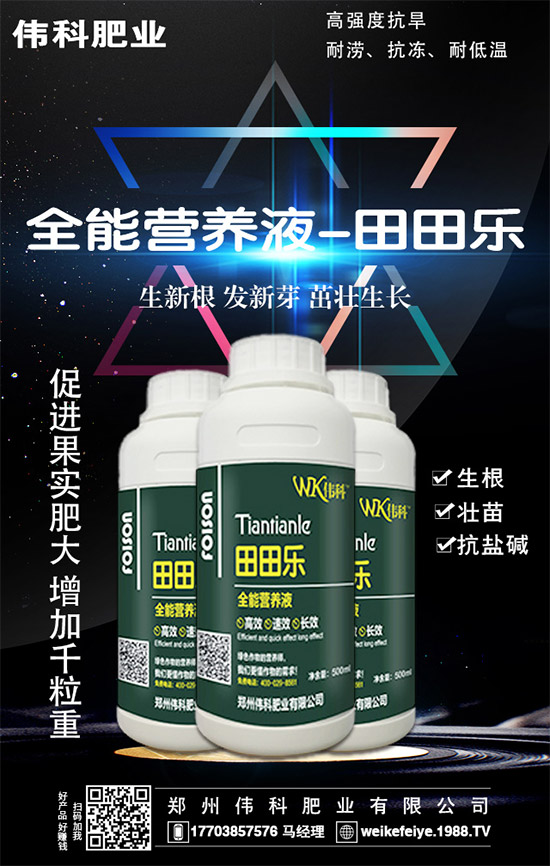     ���ӵĠI(y��ng)�B(y��ng)�r(ji��)ֵ����Щ����Ч�c��������Щ��������Щ��Ⱥʳ�ã�