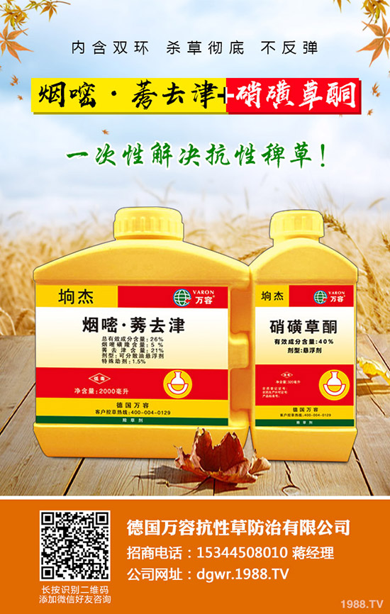 ������Nֲ�ļ���(ji��)�����Ӹ߮a(ch��n)�NֲҪ�c��