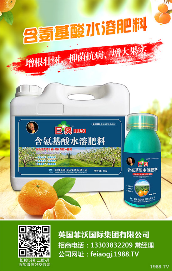 �҇��Ϸ�ԓ���ӷNֲ�{ݮ���{ݮ�߮a�Nֲ���gҪ�c