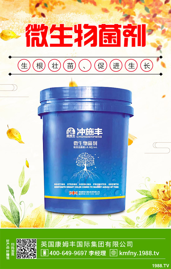 �҇��Ϸ�ԓ���ӷNֲ�{ݮ���{ݮ�߮a�Nֲ���gҪ�c