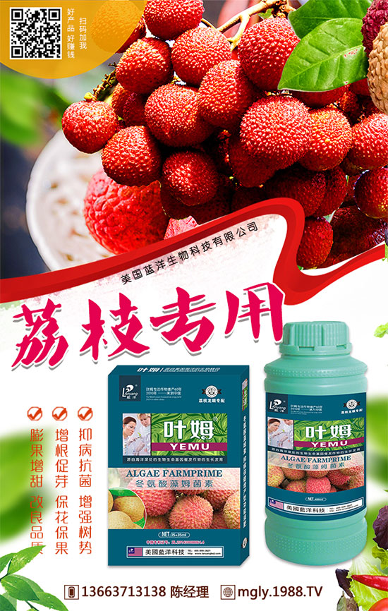 �t�탦�ص��������t�탦������Щ������