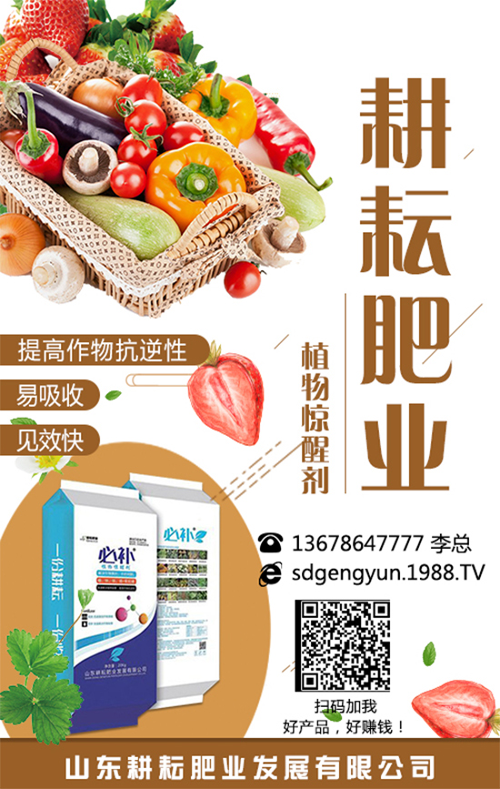 ���؃r����m(x��)�»������վֲ��^(q��)�������Ј�����2019��8��13��