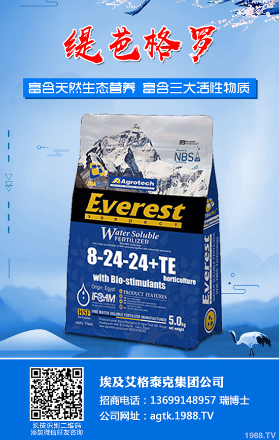 ����ʲô�r�g�������������緽��