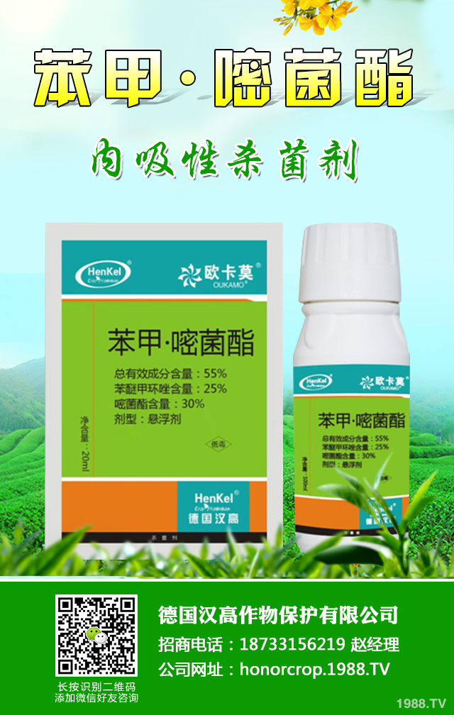 ���^���x(ch��ng)����ô�k�����^���x(ch��ng)�����κ÷���