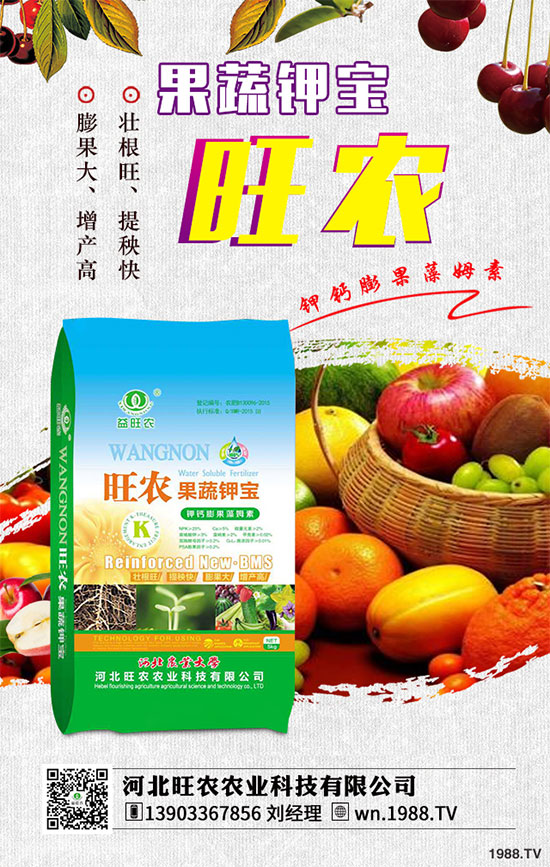 ��������ķNֲ�r(sh��)�g������������������Ҫ�c(di��n)����Щ��