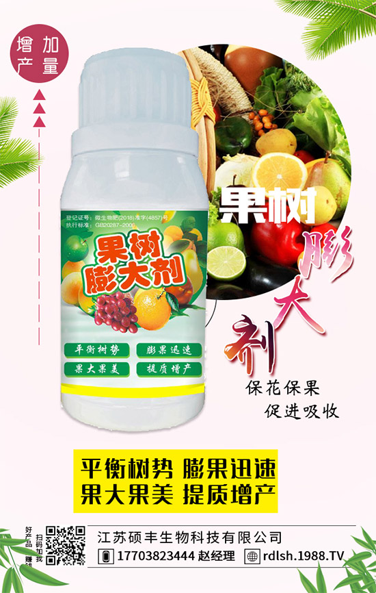 ��ľ���Ĺ�Ч�c��������ľ�����ʳ��������Щ��