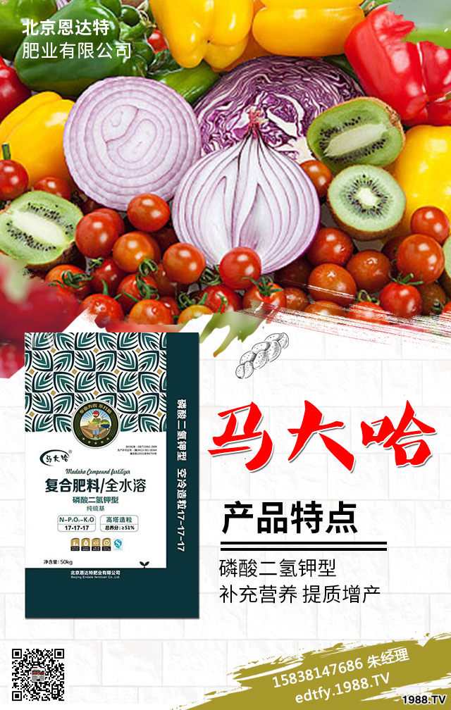 �����߲�ʩ���д�����Щ���}�������߲˷Nֲ���g(sh��)