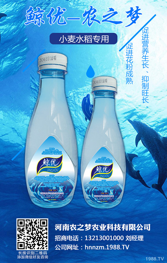 �۲˰߿ݲ�����ЩΣ����ԓ��η������۲˰߿ݲ��İl(f��)���c����