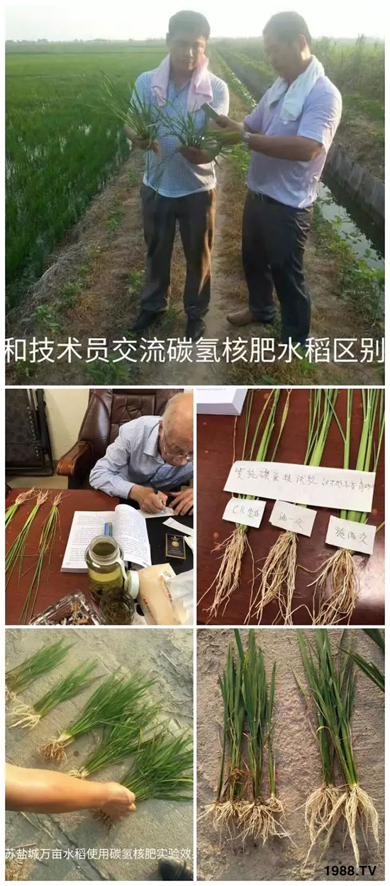 �ϰټ�ý�w��������쳬�^�W��ʳƷ�˜����̼��˷ʾ����@ô����