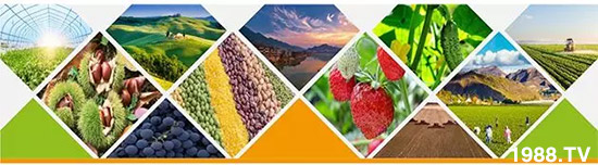 �����������L���߉��£����ͷ���Ѹ������������ƌW(xu��)���L���g�޴�