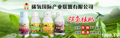 �����������L���߉��������ͷ���Ѹ������������ƌW(xu��)���L���g�޴���