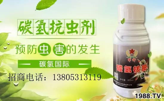 �����������L���߉��£����ͷ���Ѹ������������ƌW(xu��)���L���g�޴���