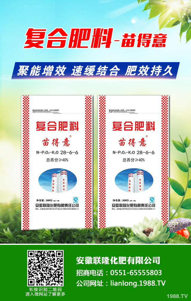 �t��������ô�������t������ȫ�����