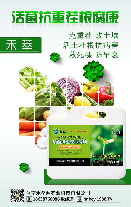 ����÷��ô�޽�������÷�޽ӷ�����