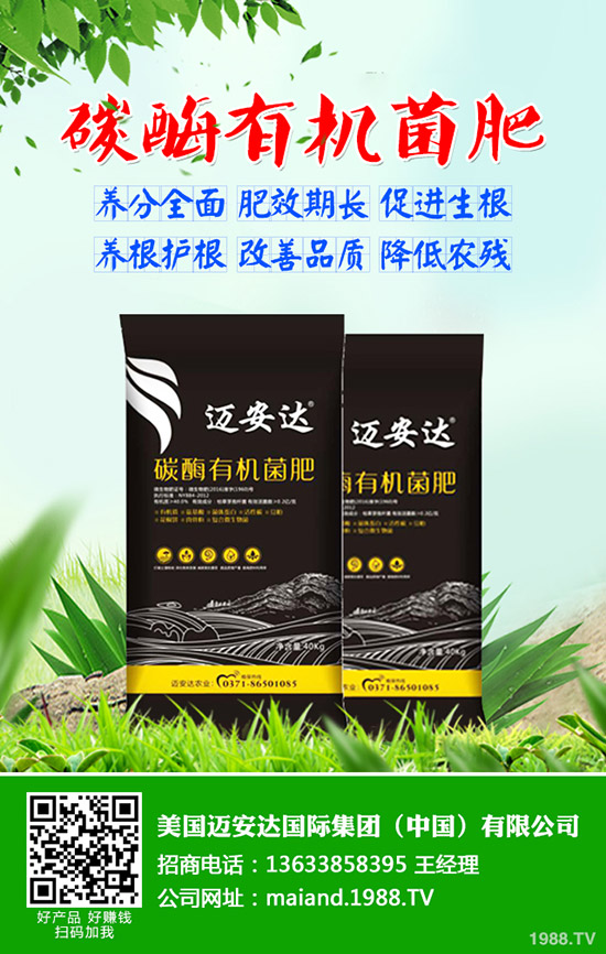 ����ʲô�r��N���������N��(y��ng)ע����Щ���}��