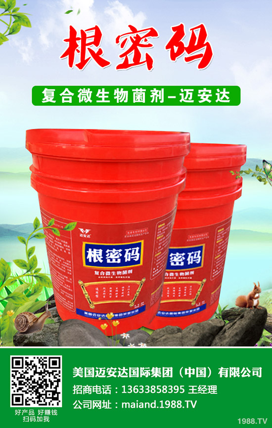 �����Jʲô�r��Nֲ�������J�Nֲ���g(sh��)��