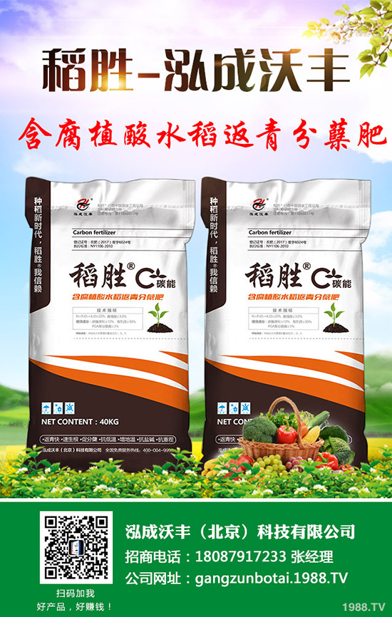     �R��������������؃r(ji��)�񯂝q�����������������2019-9-12