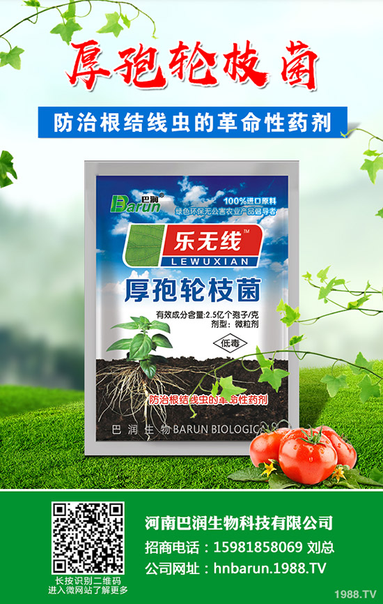 ��֦���~��ô�޼�����֦���~�޼�������