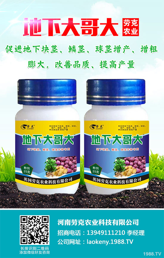 �������Щ�I�B(y��ng)�rֵ���Խ������Щ��̎����˵Ĺ�Ч�c����