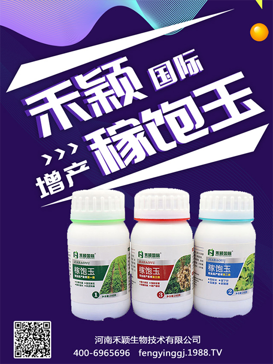 ����Nֲ���ի@�r�g������Nֲ�����L�h(hu��n)����