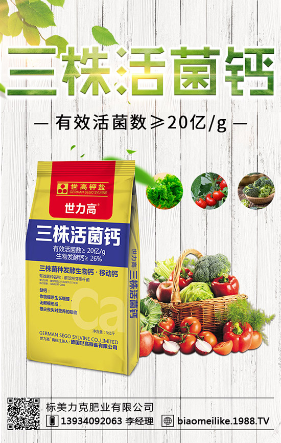 ���S��ʲô�r������ã����S�������ע�������