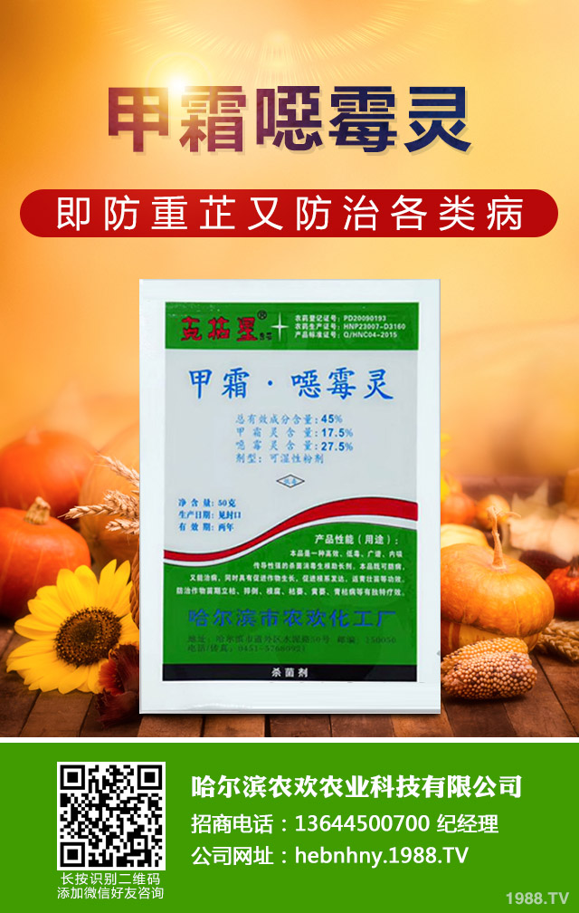 ��Щ������ɣ����P����ɣ����P�����μ���