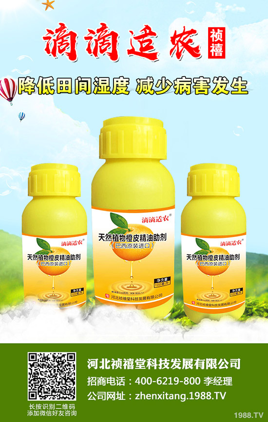 �＾��ݮ��ι������ܸ߮a(ch��n)���＾��ݮ��ֲ�������g(sh��)��