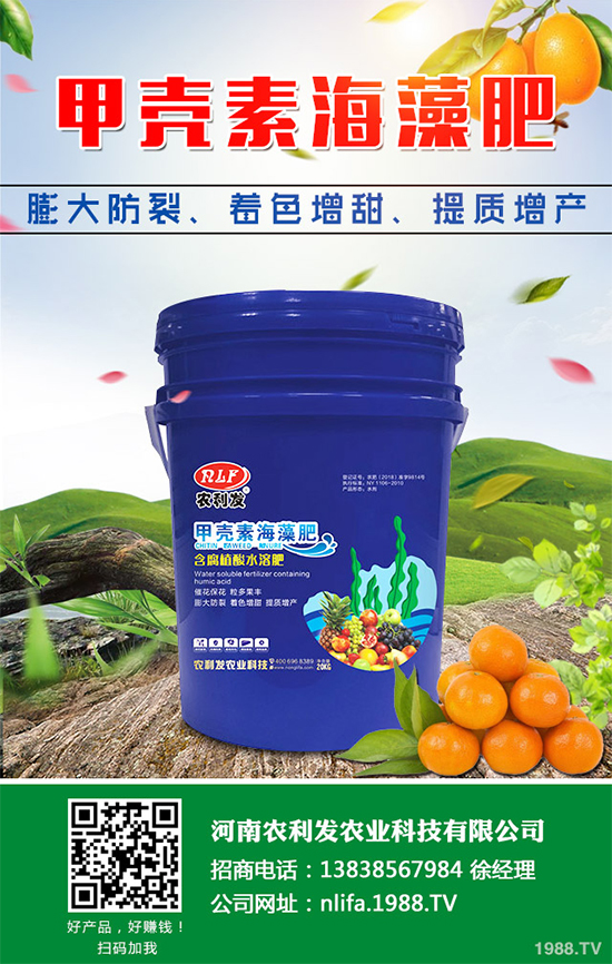 ���[�ɼ���զ���������ӽ�Q�����[�ɼ��ԭ�򼰷���