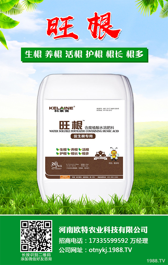 ���[�ɼ���զ���������ӽ�Q�����[�ɼ��ԭ�򼰷���