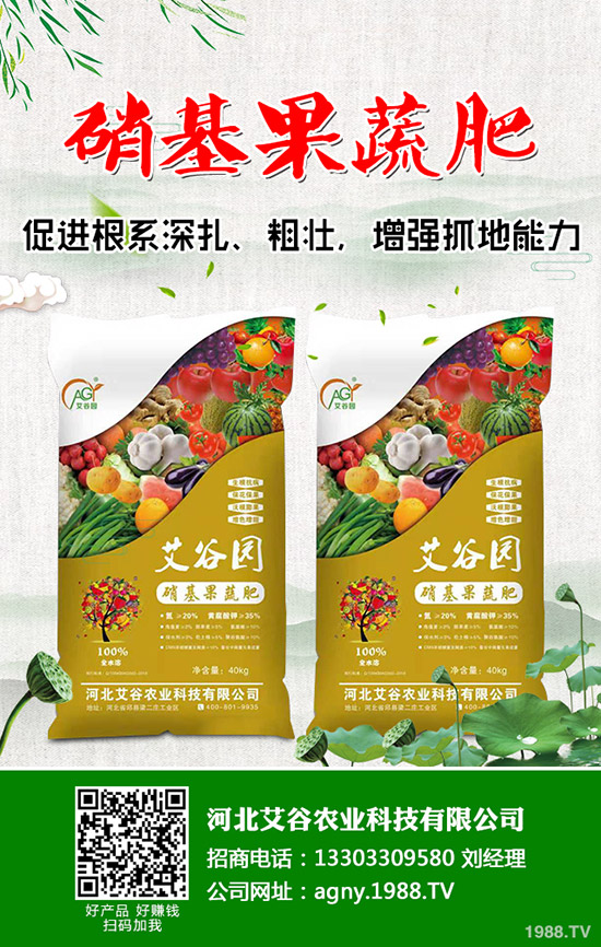 ��Ҭ���c���m���ĠI�B(y��ng)�r(ji��)ֵ��ʲô��ͬ����Ҭ�����m���ą^(q��)�e����Щ��