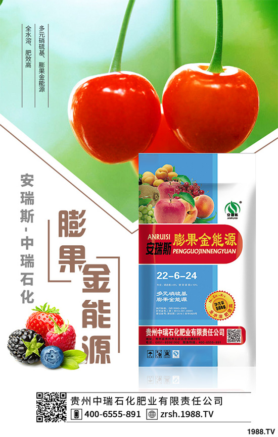 �n��ԓ����������n�����ڹ������g(sh��)Ҫ�c(di��n)