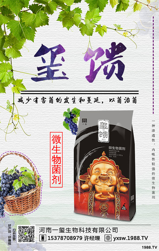     �������ӷNֲ�{ݮ���Nֲ�{ݮ��ԓע��ʲô��