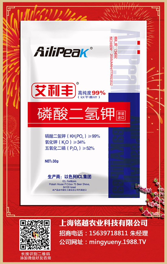 ������ηNֲ�������Nֲ������ע�������