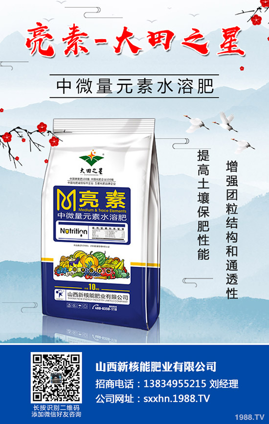 �＾�߲�����������＾���õ������С���������g(sh��)��