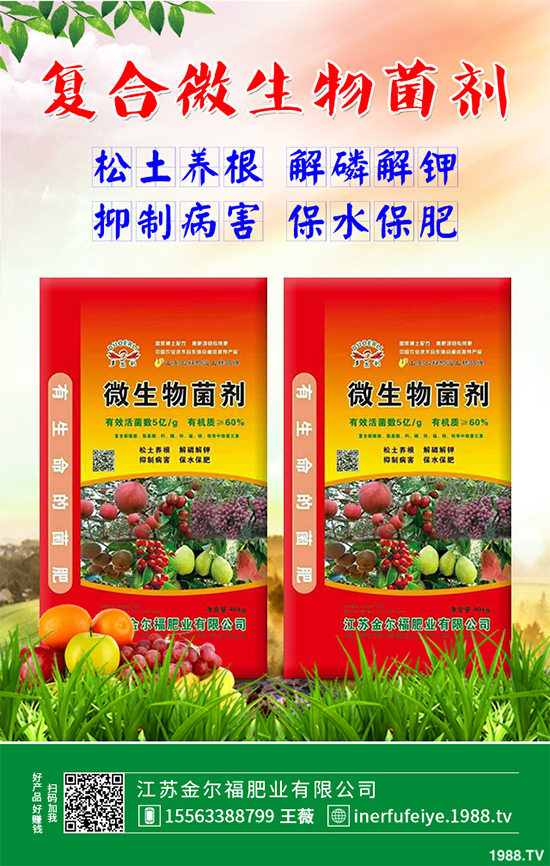 �㶹ʲô�r(sh��)��Nֲ��ԓ��ô�N���㶹�Nֲ�r(sh��)�g���Nֲ���g(sh��)Ҫ�c(di��n)