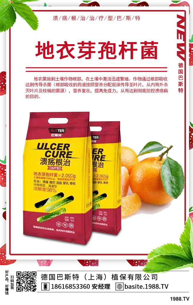 ���F���~�����ô�k�����F���~��ݲ��򼰷���