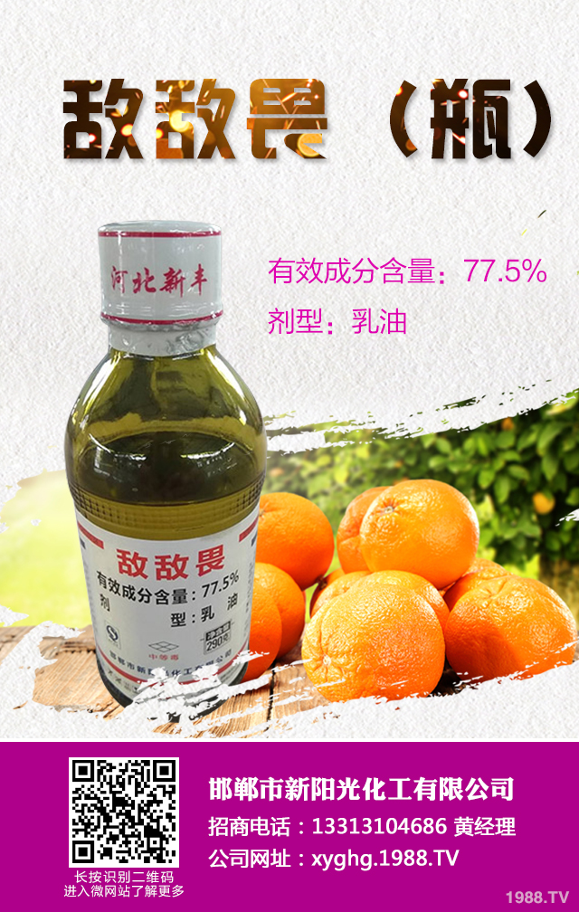 ���ټt֩����ô���������ټt֩����Ч���μ���