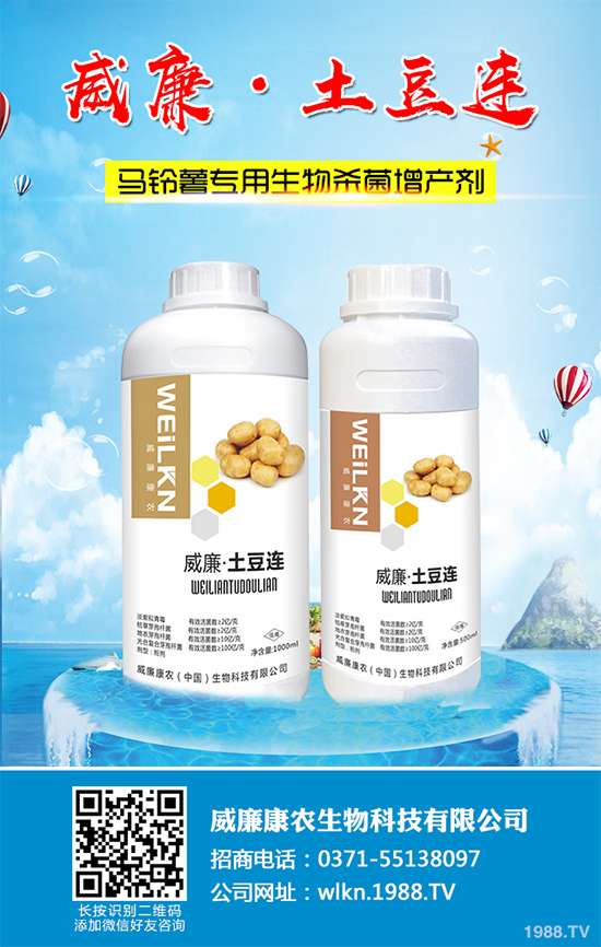 �㶹����������ЩΣ�����F(xi��n)��ԓ���ӷ������㶹���������η���