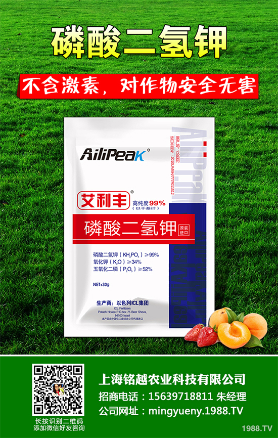 �㶹����������ЩΣ�����F(xi��n)��ԓ���ӷ������㶹���������η���