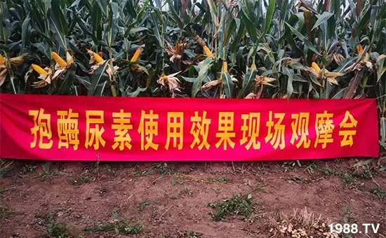 �ٿ���С�����a1471�����pø����ȫ�����������߮a������֮�o����