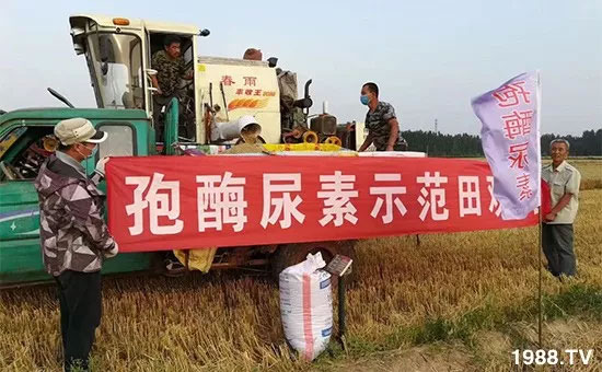 �ٿ���С�����a1471�����pø����ȫ�����������߮a������֮�o����