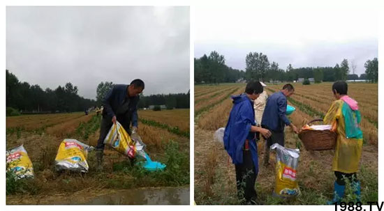 �ٿ���С�����a1471�����pø����ȫ�����������߮a������֮�o����