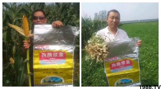 �ٿ���С�����a1471�����pø����ȫ�����������߮a������֮�o����